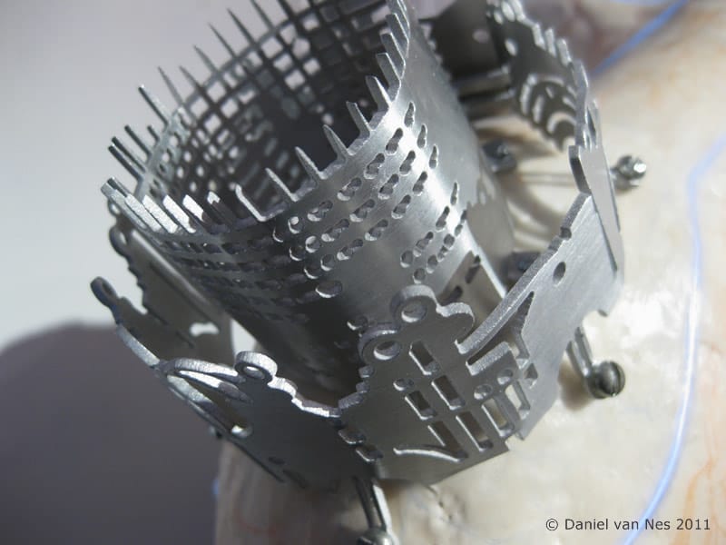 wirehead_crown