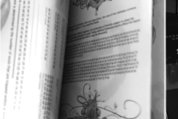 sellfalbe_passport_newsletter_images sellfalbe_passport_newsletter_images